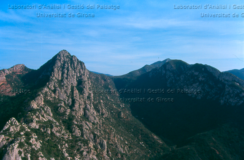 Cresta a Sant Salvador de les Espases