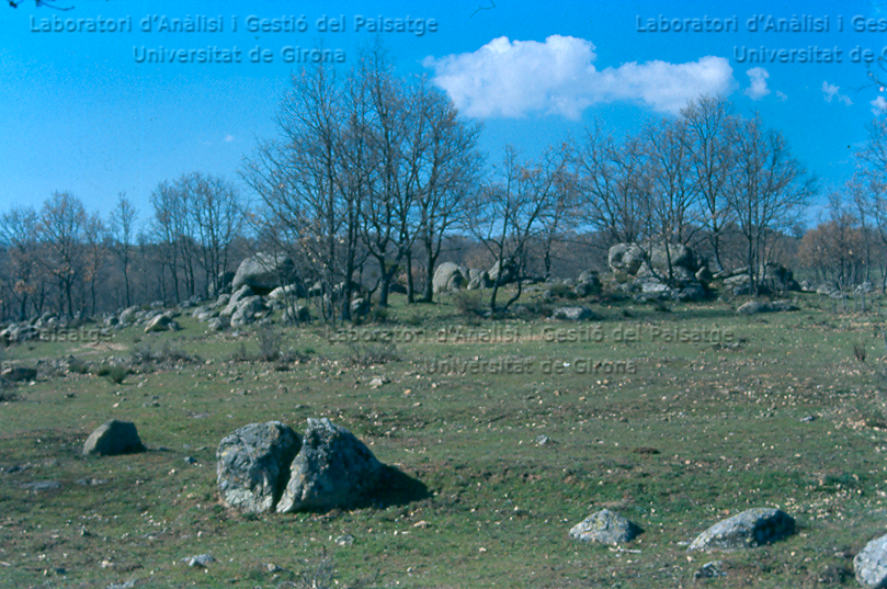 Paisatge granític a Àvila