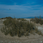 Morfologia dunes