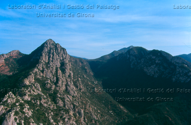 Cresta a Sant Salvador de les Espases